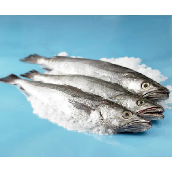 Frozen-Hake-Whole-1kg