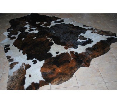 Tricolor Black
