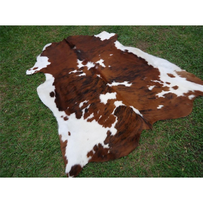 Tricolor Cowhide Rug q
