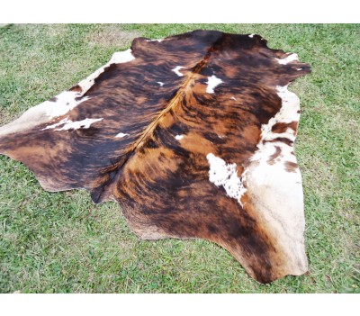 Tricolor Edge Cowhide Rug 55
