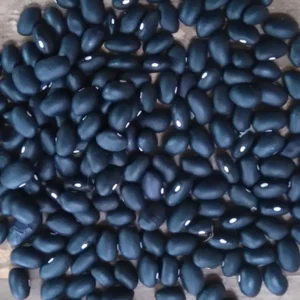 Black Beans