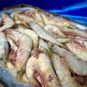 Fresh Prawns