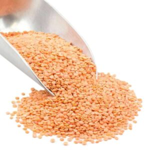 Lentil Beans